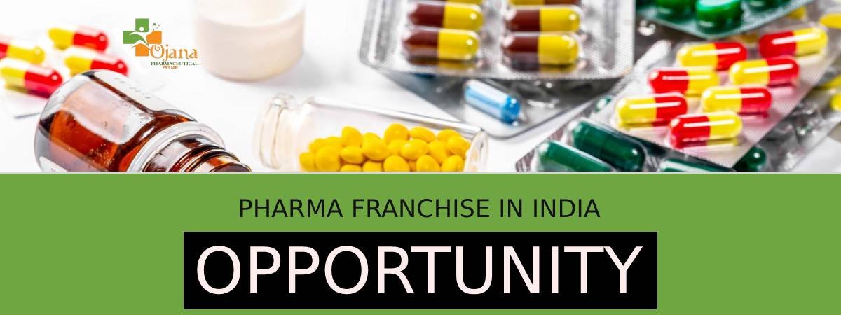 Pharma Franchise in India image